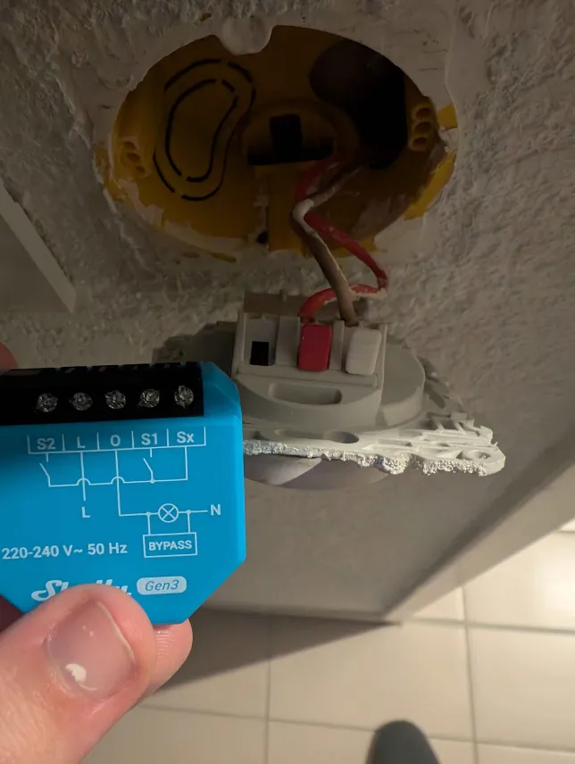 Shelly 1L Before Installation